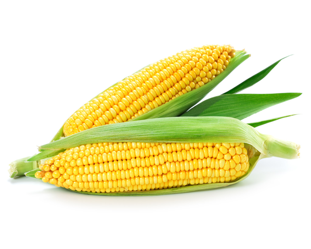 美国农业部调高全球玉米产量和期末库存预期