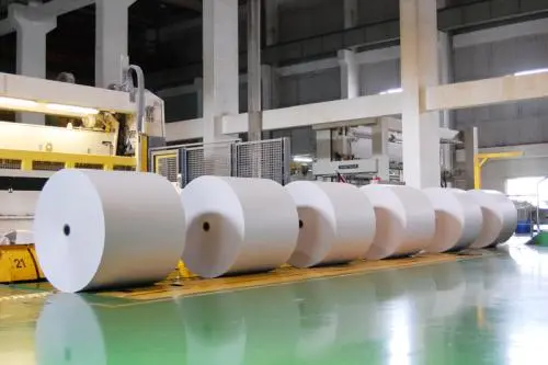 年产390万吨林浆纸一体化项目举行开工