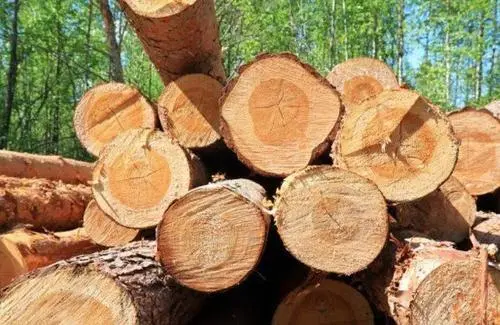 美国建材、建筑商谴责对加木材关税翻倍