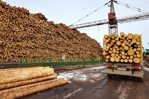 禁止原木出口俄罗斯本地市场降价或将来临