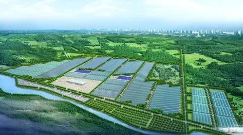 海南自贸港将设立农业植物新品种审查协作中心