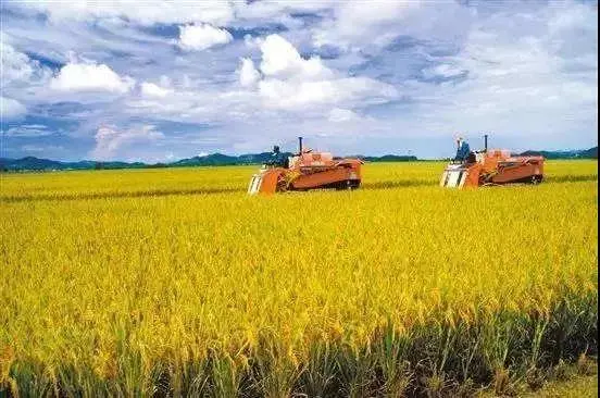中国·印尼聚龙农业产业合作区：积极打造服务海外农业投资平台