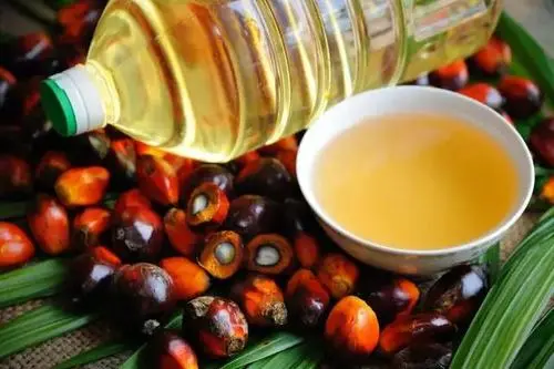 全球最大棕榈油生产国将加强出口管制