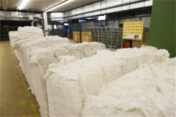 干磨废纸浆成“敏感品” 嘉兴海关再退运4117.84吨不合格再生纸浆