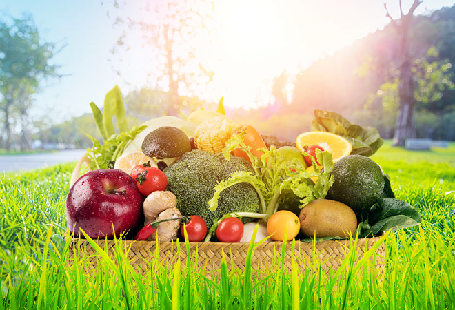 西开普省政府预计今年水果出口有望大幅增长