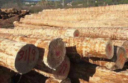 英国建筑商宣布不再购买“冲突木材”