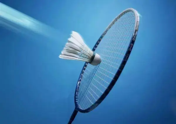 印尼中国商会时隔两年多续办羽毛球赛
