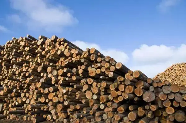 越南对美木材及木制品出口已连续三年超过我国