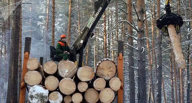 哈萨克斯坦延长部分木材出口禁令
