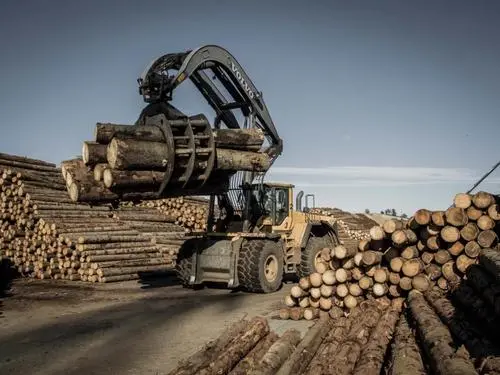 木材供应紧张加剧俄罗斯木材禁令