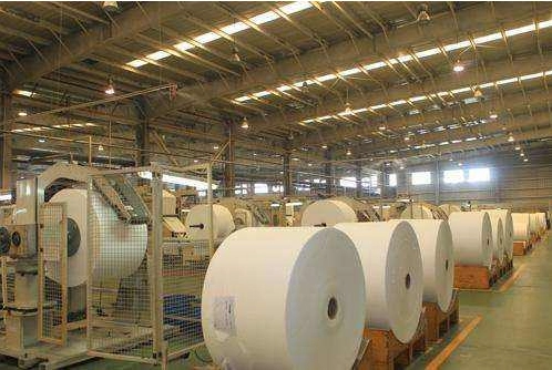 广西加快服务外资企业 打造千亿级造纸产业链