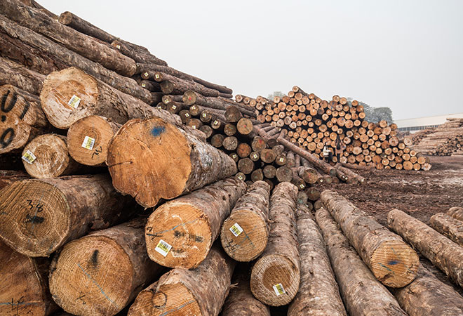 立陶宛因对俄罗斯制裁面临木材短缺 将阻止更多木材出口