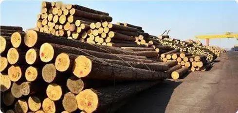 美国将对俄罗斯木材征收35%的关税