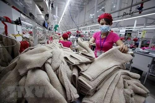 越南纤维产品优势明显 出口额同比增长20%以上