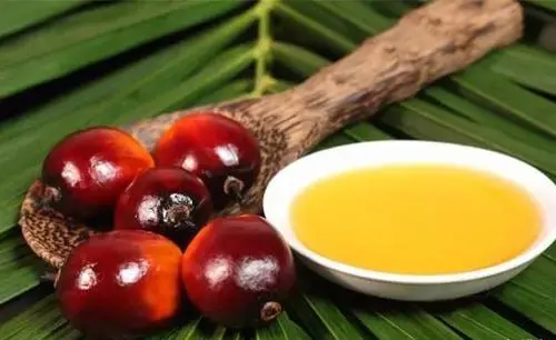 泰国政府促进棕榈油出口