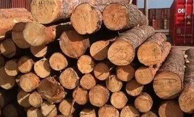 欧洲木材市场下半年不容乐观