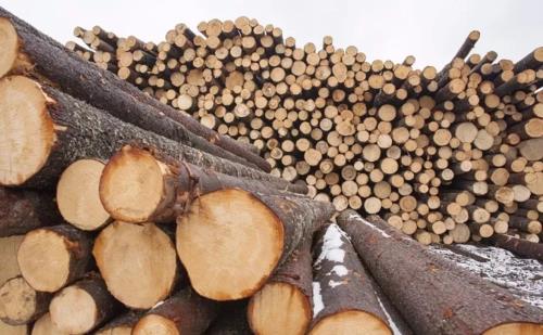 俄罗斯：欧盟木材禁令对我们并没有太大影响