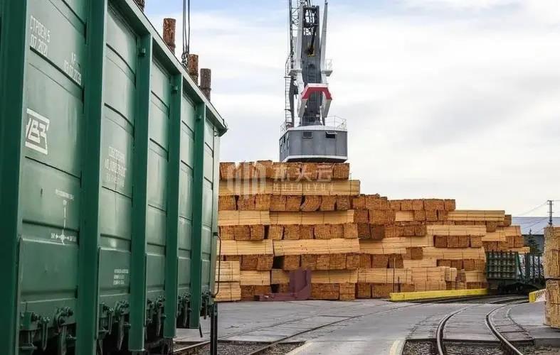 定下了！美进口加拿大软木关税最终确认在8.59％