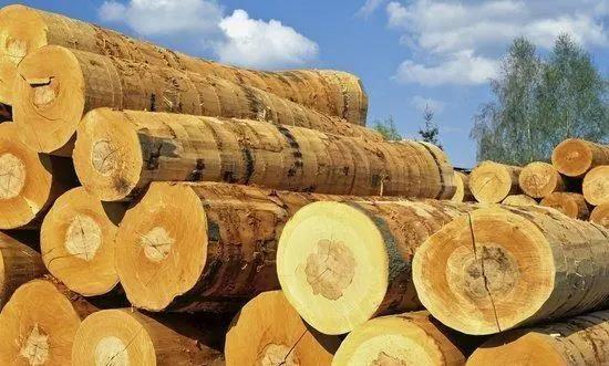 华诚外贸进出口数据观察-越南木材和木制品出口连续两个月放缓