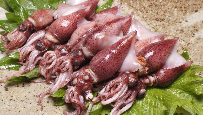 进出口数据显示，今年前7个月越南鱿鱼和章鱼出口额同比下降15%